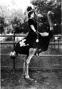 Anna Held visiting a Los Angeles ostrich farm, 1911